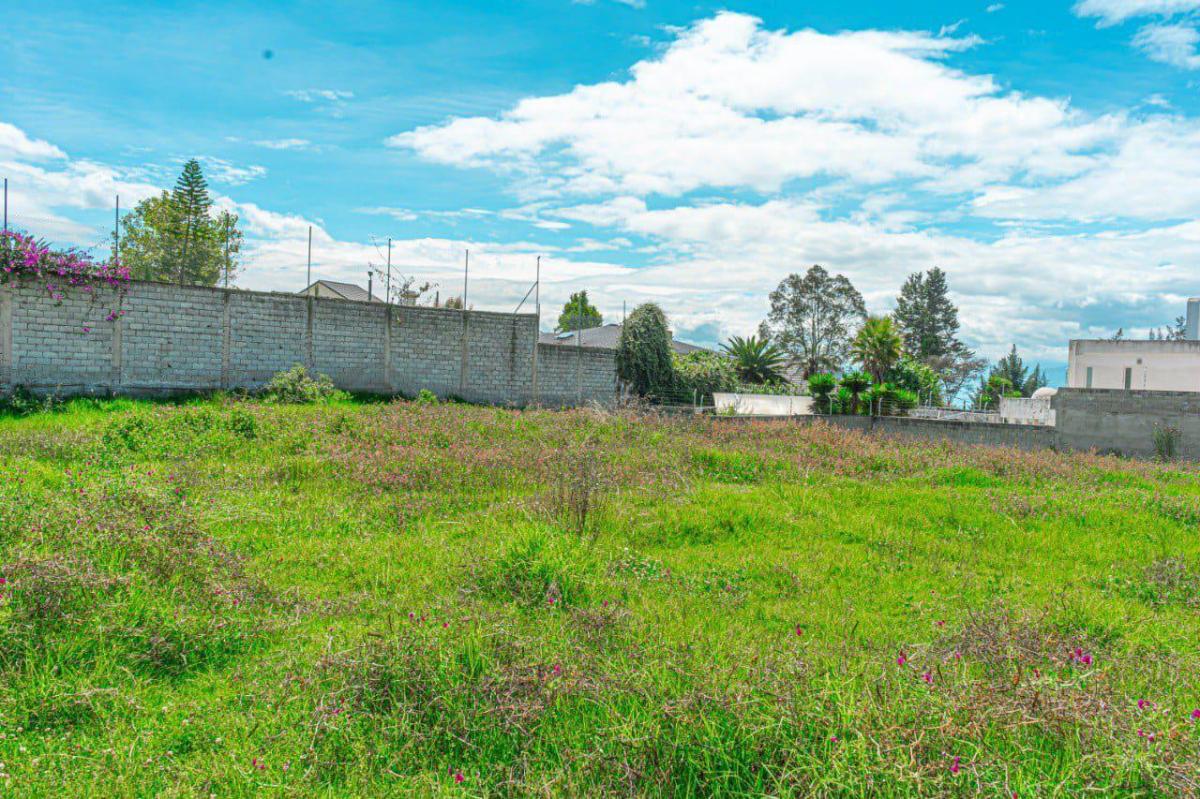 Terreno en Monteserrín — imagen 6
