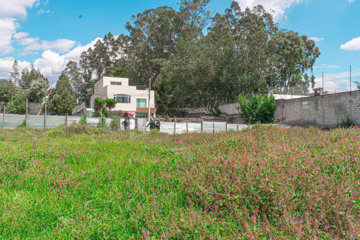 Terreno en Monteserrín — imagen 5