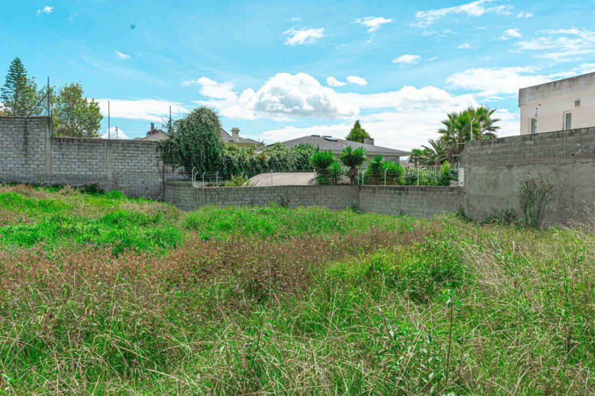 Terreno en Monteserrín — imagen 2