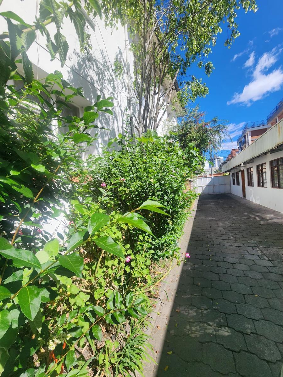 Terreno en Centro Norte — imagen 9