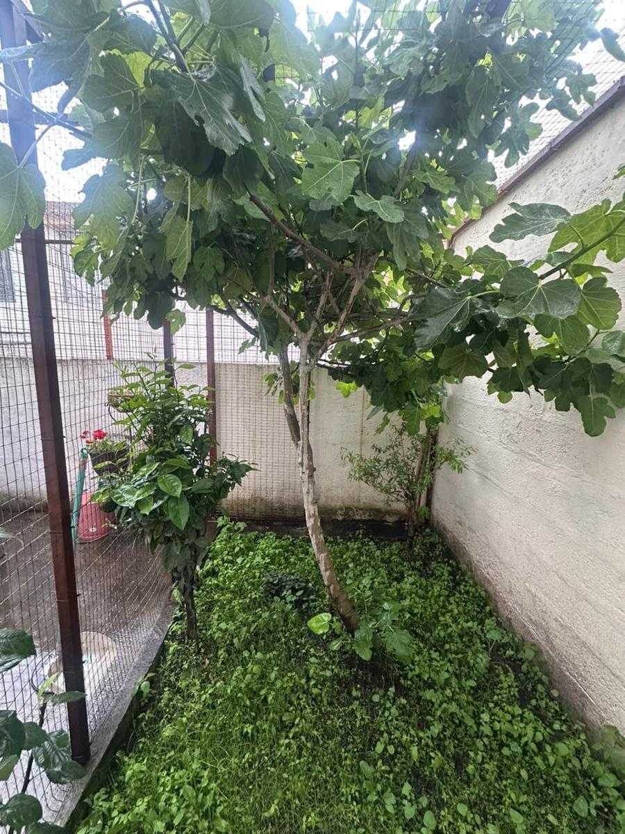De Oportunidad Venta Casa en Conjunto Habitacional en San Jose de Moran — imagen 2