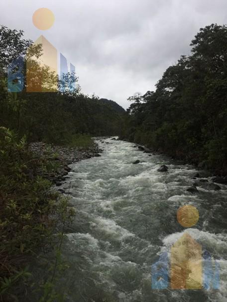 Terreno en Veta en Mindo a 14 Km del Centro — imagen 7