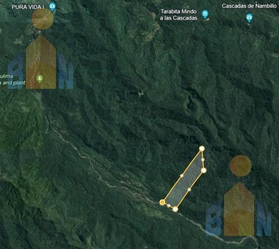 Terreno en Veta en Mindo a 14 Km del Centro — imagen 2