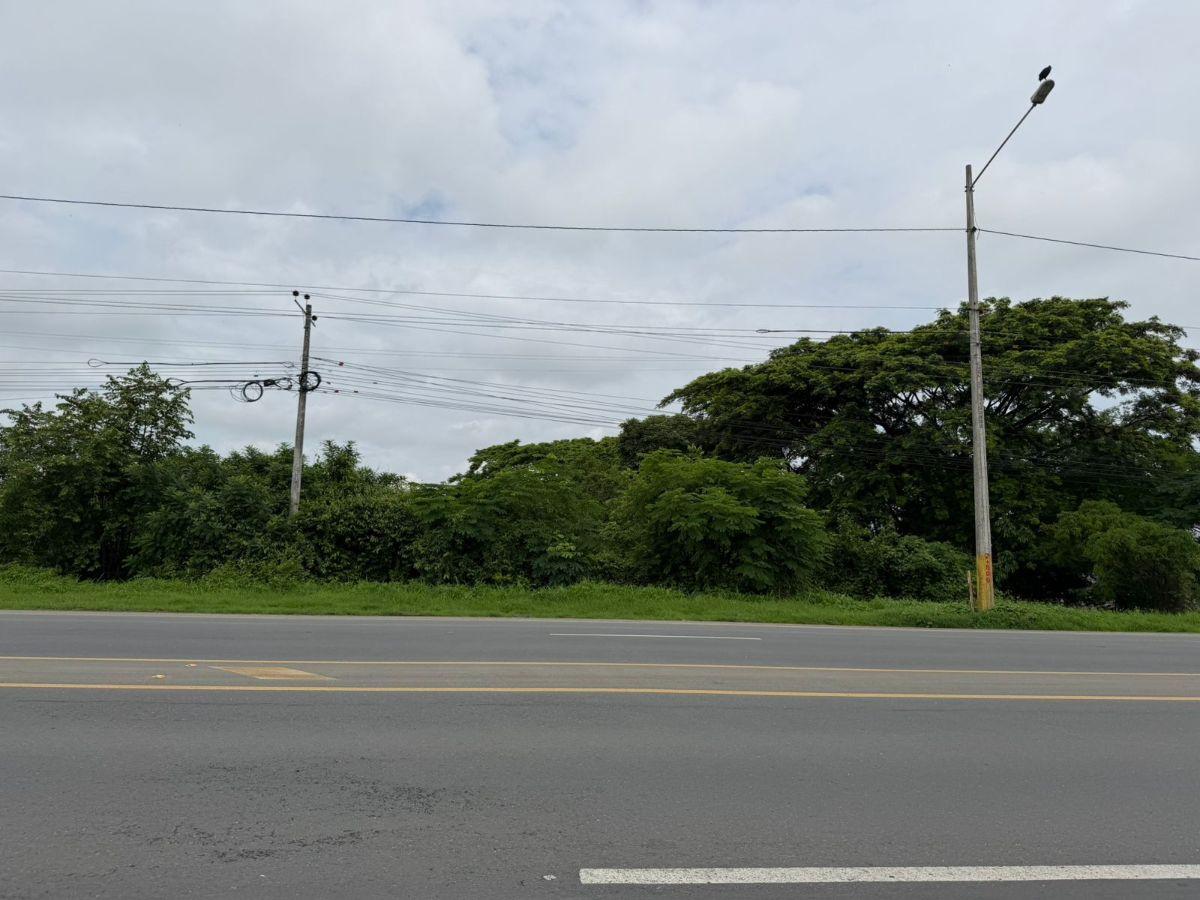 Inversión Estratégica! Terrenos Industriales en Venta 6.000 m² - Lomas de Sargentillo - Guayas, Guayas — imagen 4