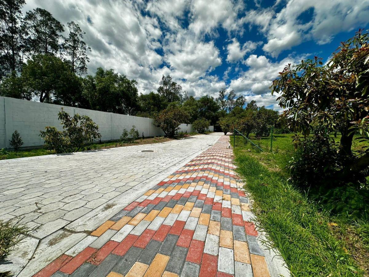 Terreno en Quito — imagen 5