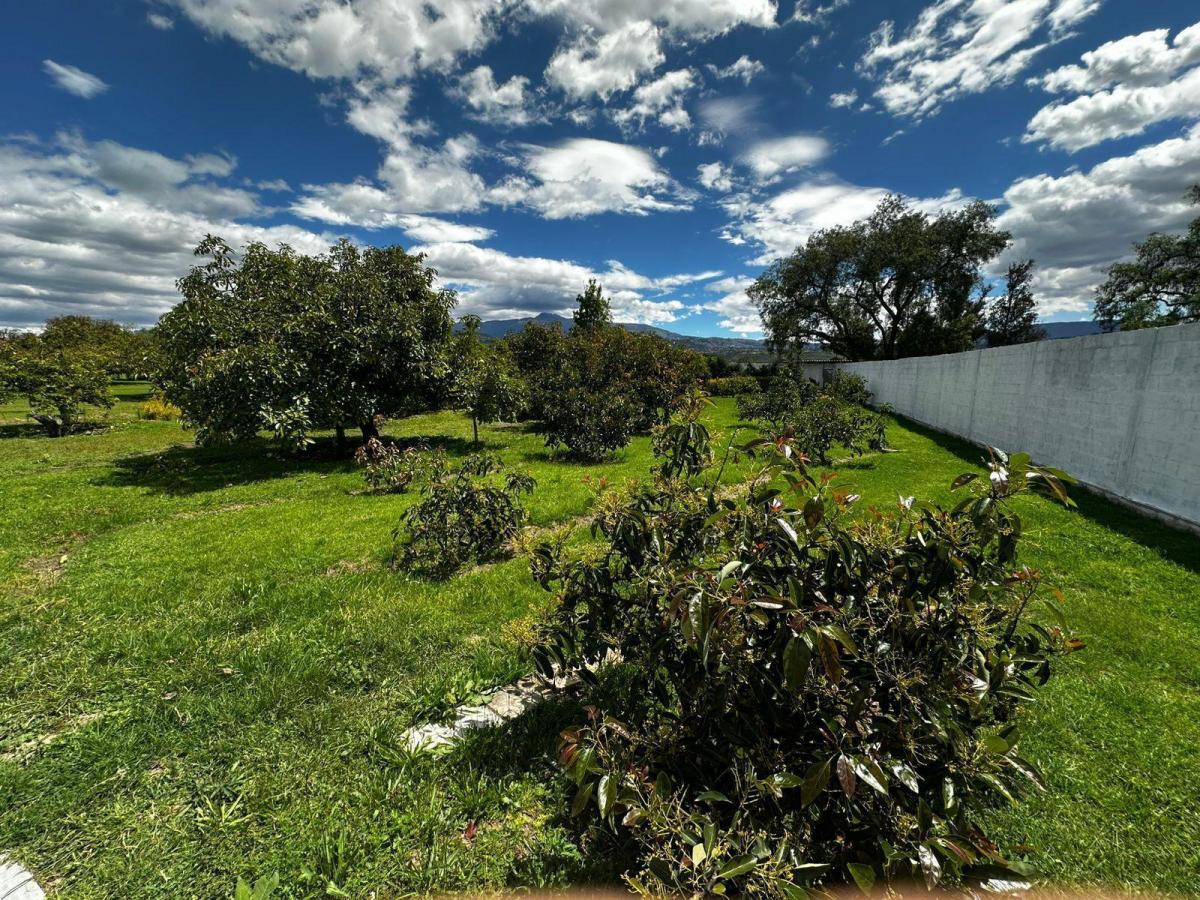 Terreno en Quito — imagen 4