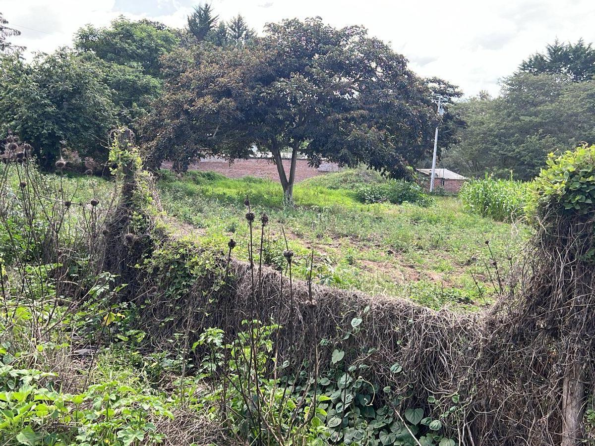 Puembo Terrenos de Venta Sector Arrayanes — imagen 6