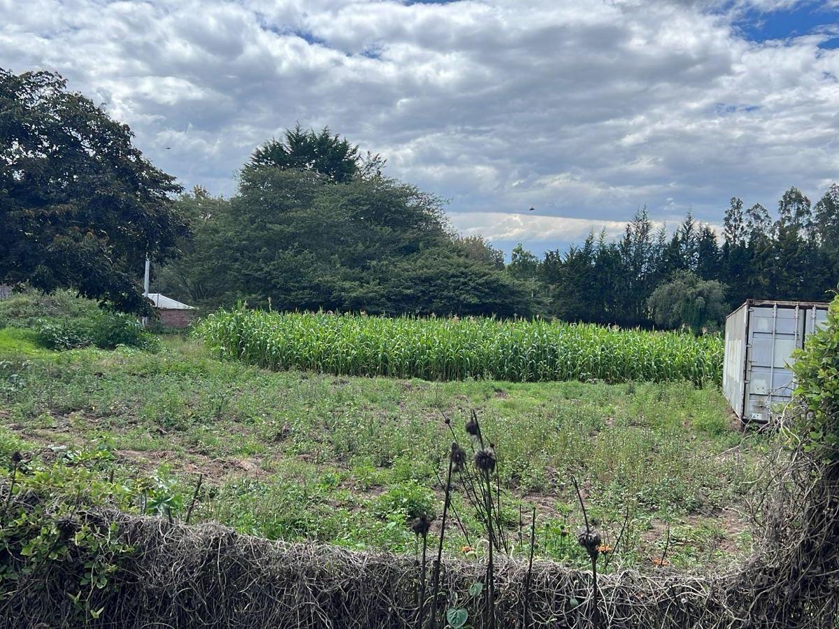 Puembo Terrenos de Venta Sector Arrayanes — imagen 5