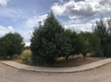 Terreno Esquinero en Venta en Urbanización Barlovento – Malchinguí — imagen 3
