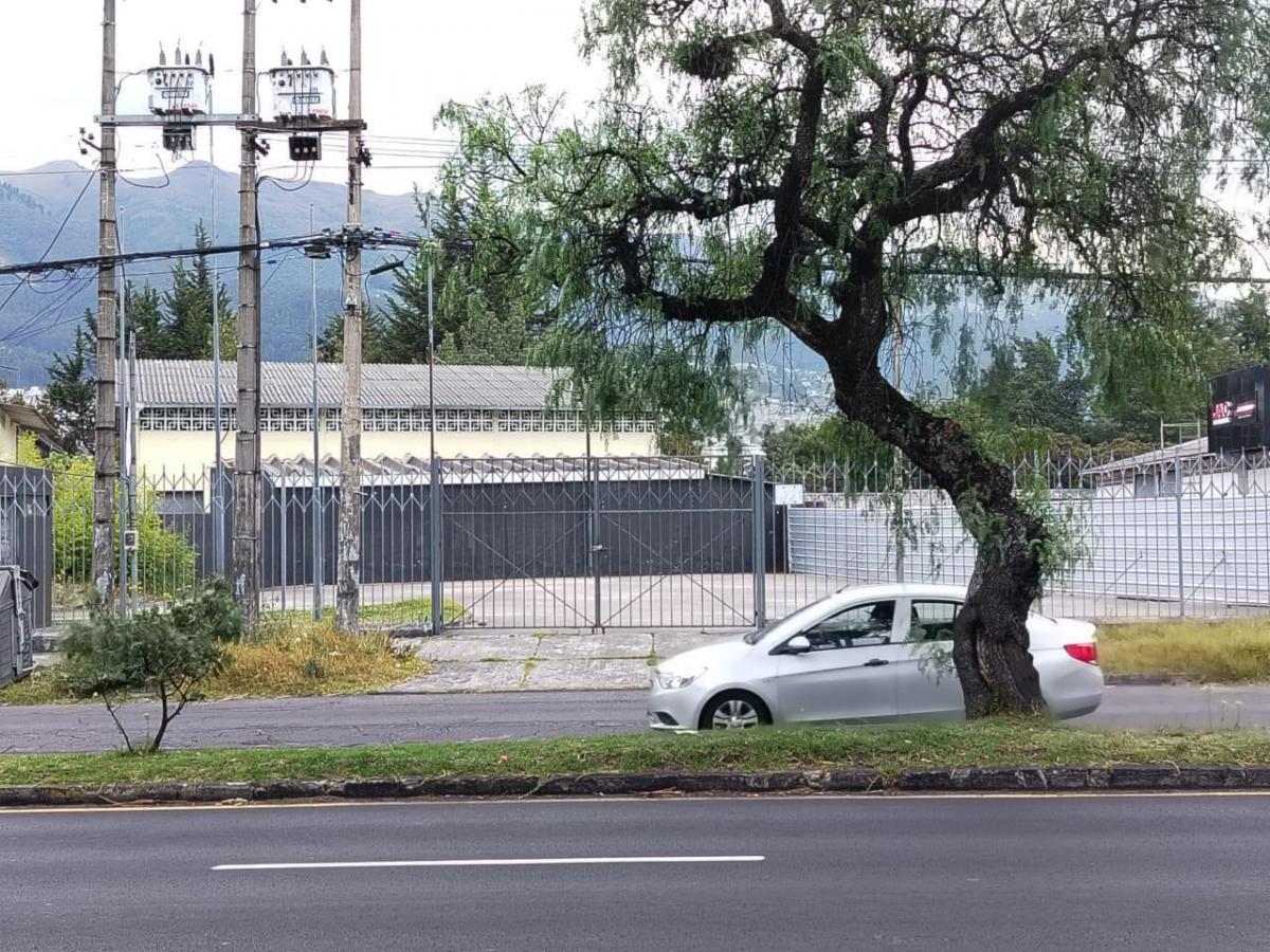 Jv Terreno Zona Norte Sector Av Galo Plaza Lazo, Excelente Terreno en Venta.637 m — imagen 7
