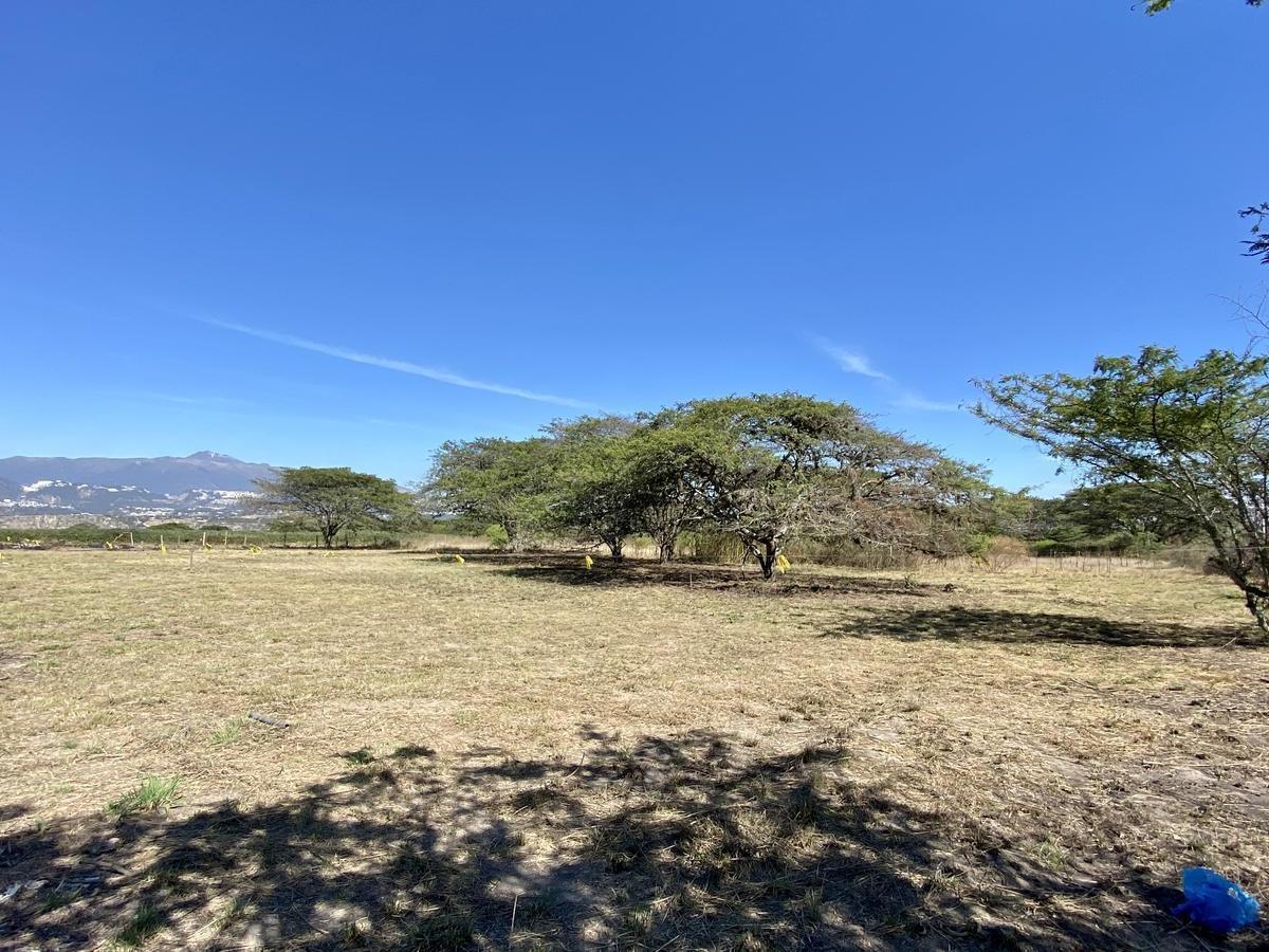 Vendo 3 Últimos Terrenos Desde 1.000 m² a $160 C/m² en Puembo (Ubicación Privilegiada) — imagen 5