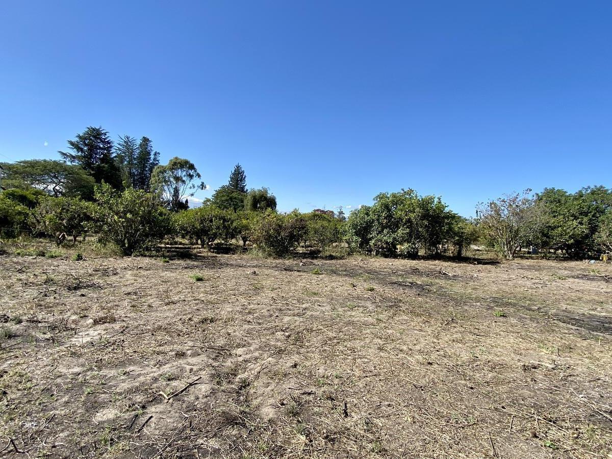 Vendo 3 Últimos Terrenos Desde 1.000 m² a $160 C/m² en Puembo (Ubicación Privilegiada) — imagen 4