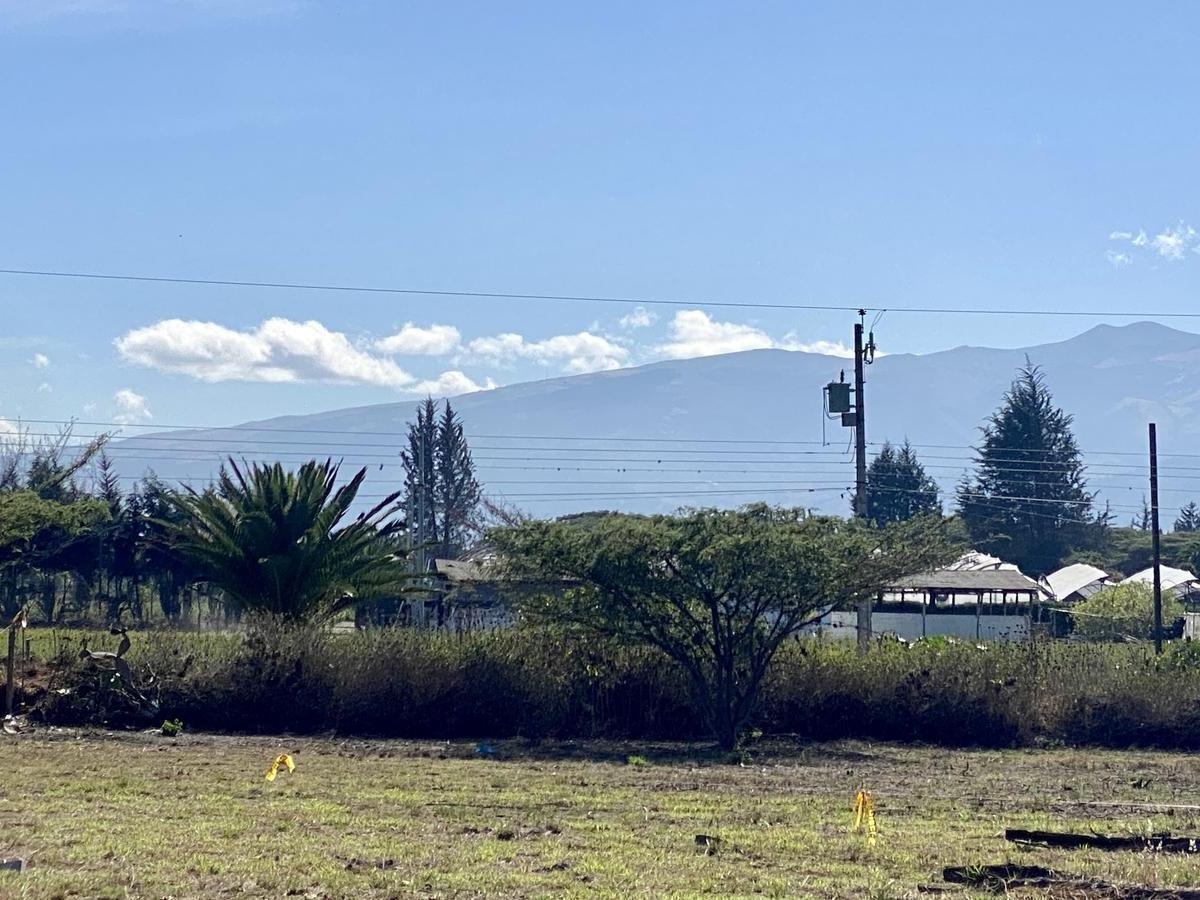 Vendo 3 Últimos Terrenos Desde 1.000 m² a $160 C/m² en Puembo (Ubicación Privilegiada) — imagen 2
