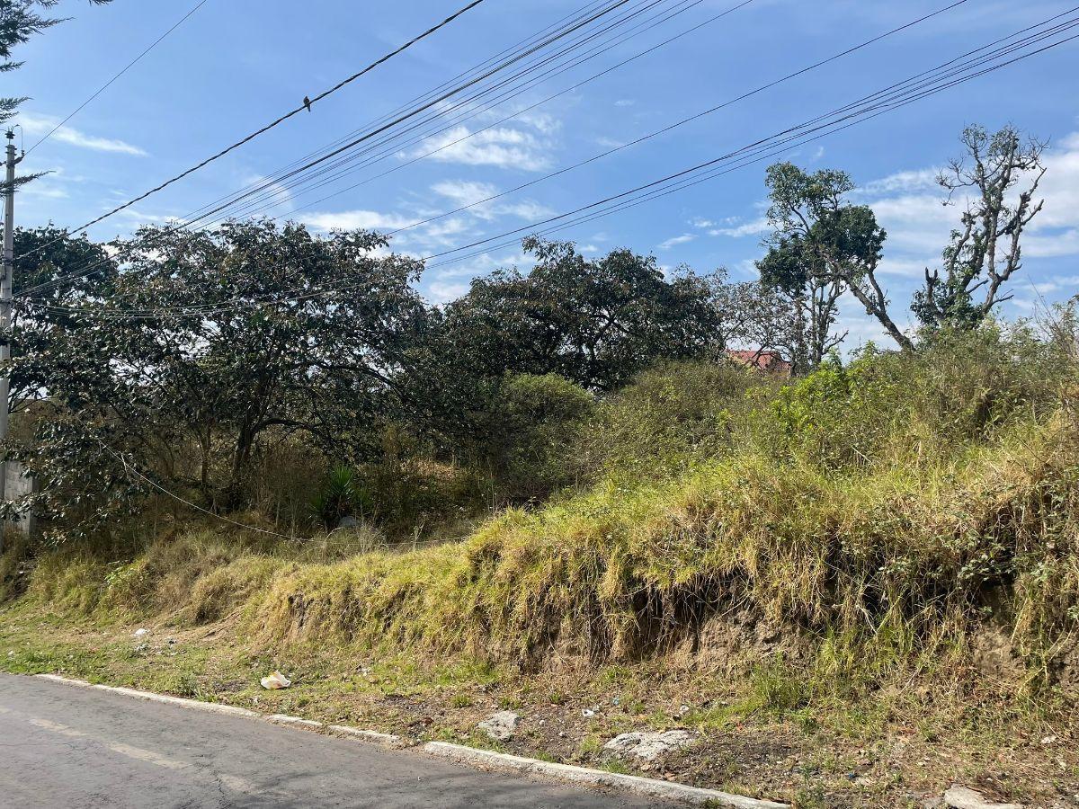 Venta Terreno de 3.829 m² en Nayón Sector de Inchapicho - Quito — imagen 10