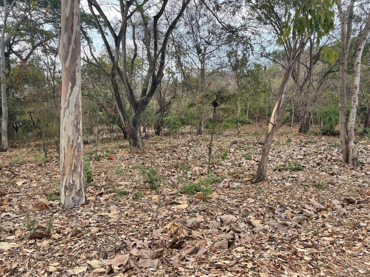Se Vende Terreno en Lago de Capeira Joss, Guayas — imagen 7