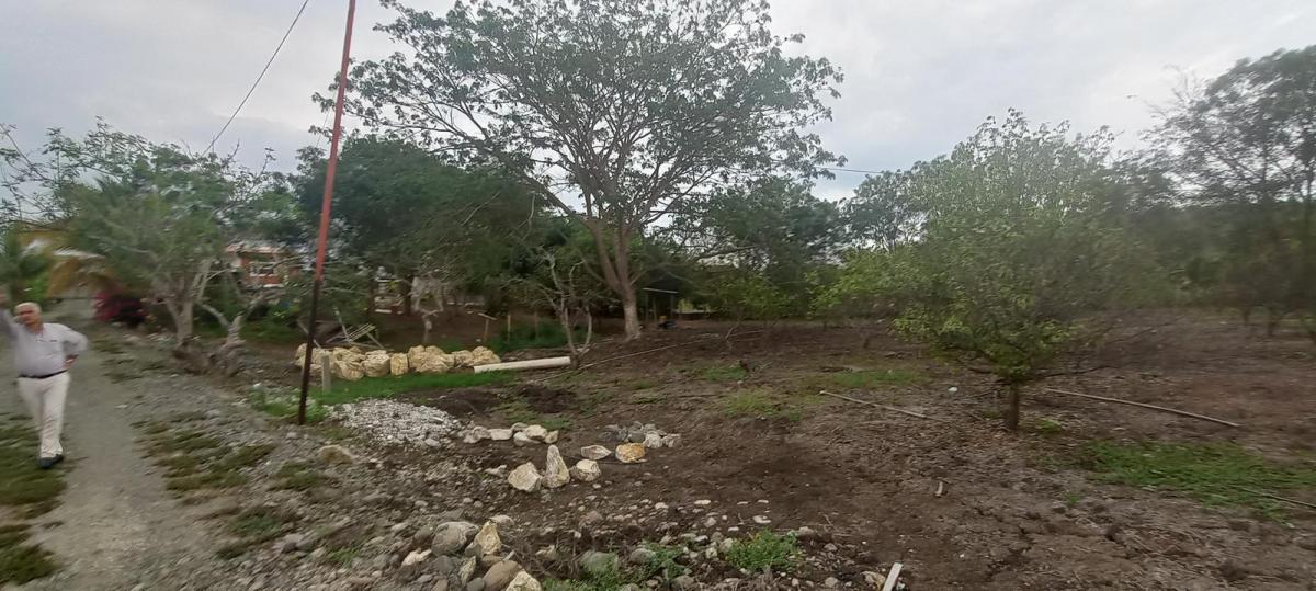 Terreno Finca Al Pie Vía a La Costa Km 68, Guayas — imagen 4
