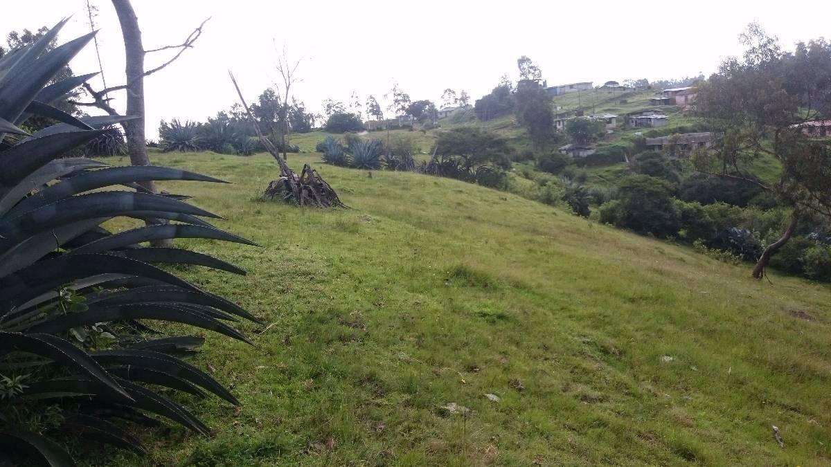 Venta Terreno Alangasí Urb. La Floresta 5 Km del Parque o 6.5 Km Colibrí - Pifo — imagen 8