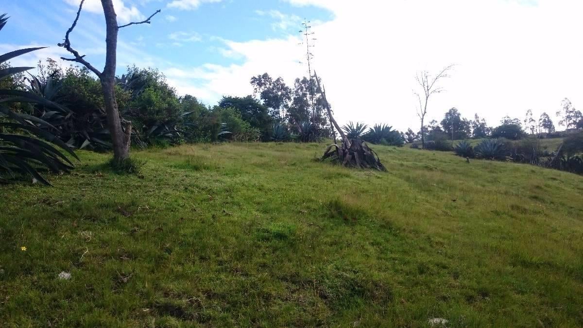 Venta Terreno Alangasí Urb. La Floresta 5 Km del Parque o 6.5 Km Colibrí - Pifo — imagen 7