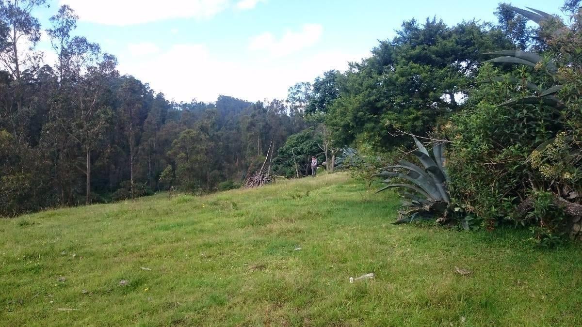 Venta Terreno Alangasí Urb. La Floresta 5 Km del Parque o 6.5 Km Colibrí - Pifo — imagen 6