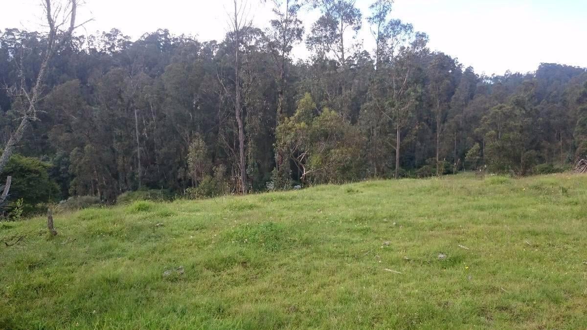 Venta Terreno Alangasí Urb. La Floresta 5 Km del Parque o 6.5 Km Colibrí - Pifo — imagen 5