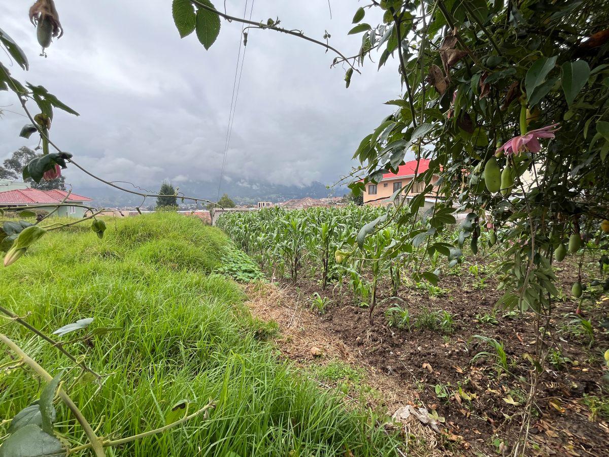 Lote en Venta, Sector Racar, Azuay — imagen 3