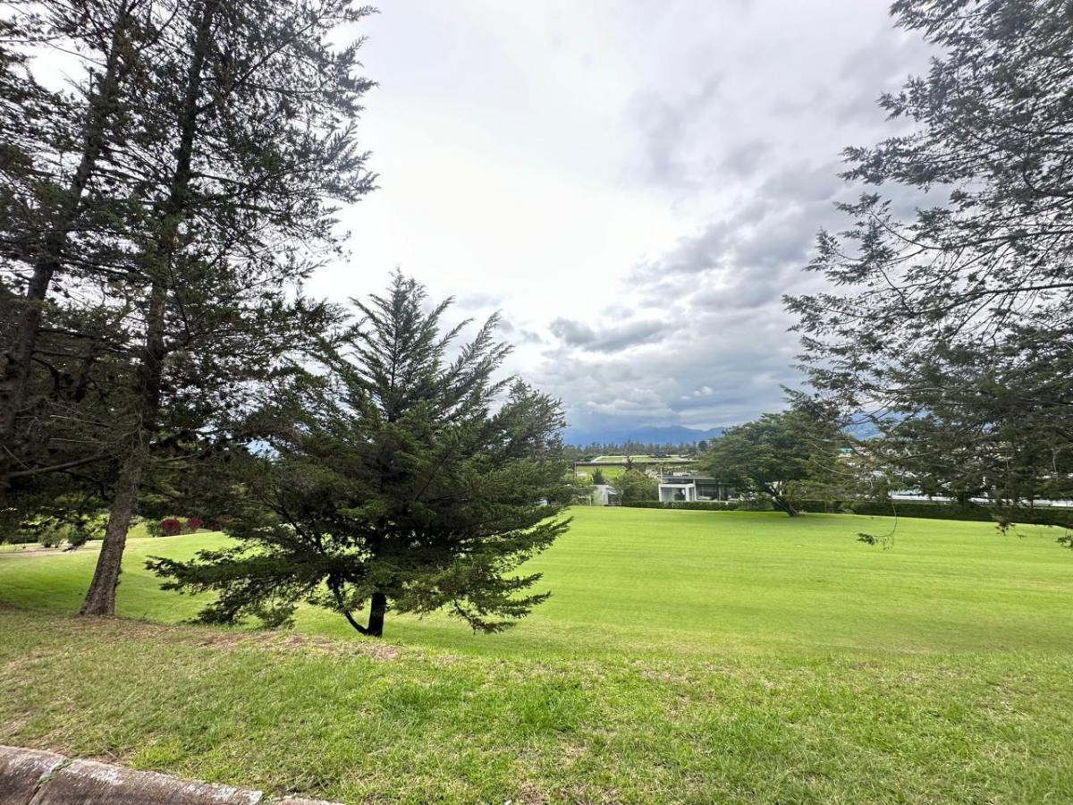 Terreno en Puembo — imagen 6