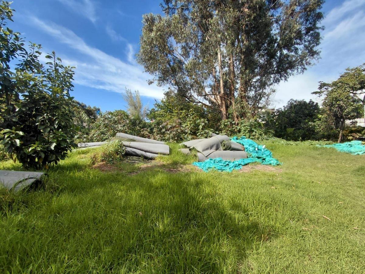 Terreno 3800 m Sector Tumbaco — imagen 2