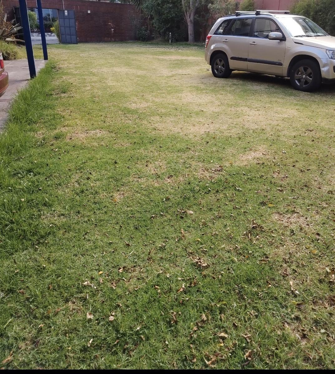 Terreno Excelente Ubicación Para La Construcción de Estudios — imagen 2