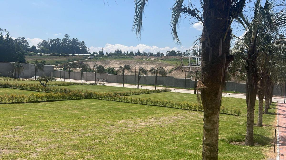 Terreno en Puembo — imagen 7