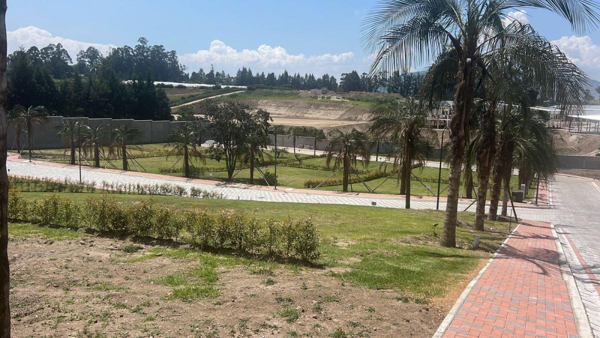 Terreno en Puembo — imagen 4