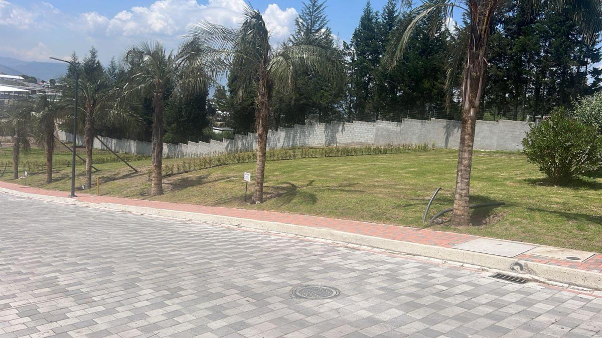 Terreno en Puembo — imagen 3