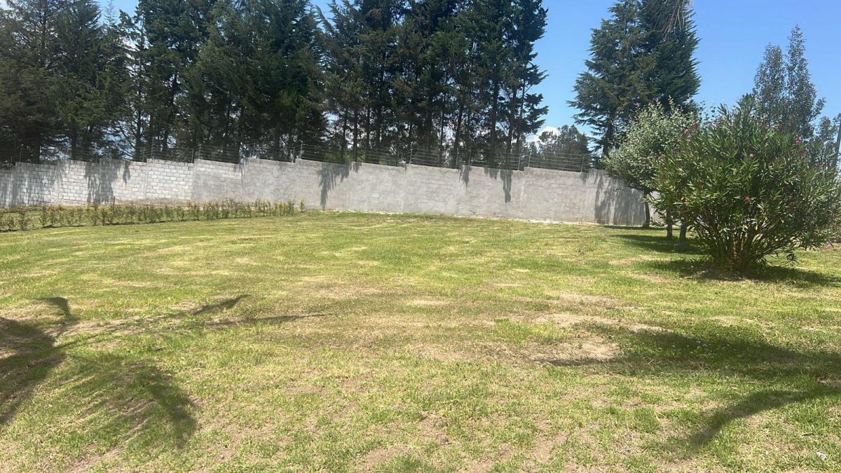 Terreno en Puembo — imagen 2