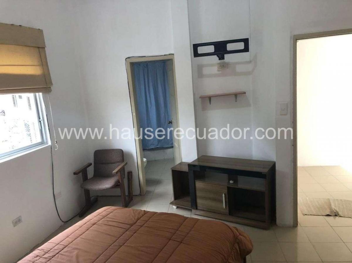 La Oportunidad Que Buscaba: Casa Rentera en San Rafael con Ingresos Inmediatos de $2.000 Al Mes — imagen 3