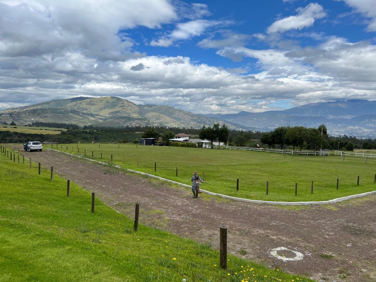 Pifo Terrenos de Venta en Conjunto - Urb. Vista Espectacular (Via Pifo) — imagen 7