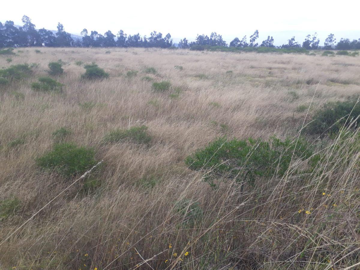 Venta Terreno Solanda, San Bartolo 2'000.000 — imagen 2