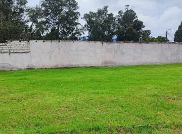 H/ Capelo, Terreno Plano en Venta, 1222 m² Precio de Oportunidad Usd — imagen 4