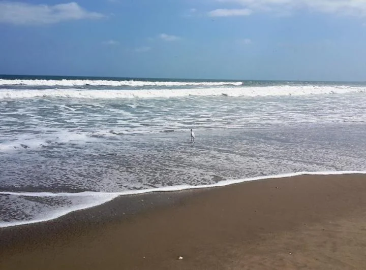 Venta Terreno en Playas Vista Al Mar, Guayas — imagen 1