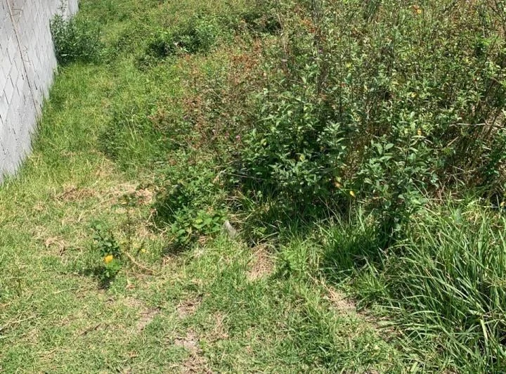 Vendo Terreno en San Juan de Cumbaya — imagen 1