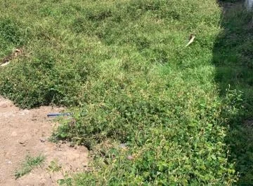 Vendo Terreno en San Juan de Cumbaya — imagen 3