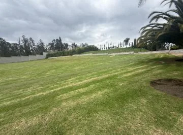 Se Vende Terreno en Puembo — imagen 4