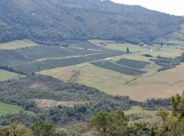 Hacienda en Venta en Mojandita, San Luis, Otavalo, 345 Hectáreas con Agua, Rio, Potencia Turístico, Imbabura — imagen 4