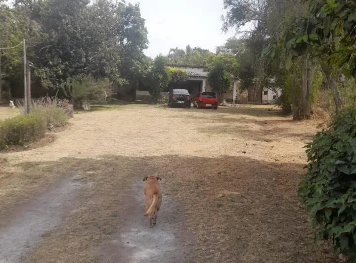 Terreno en Venta en Tumbaco, Churoloma, 817 m² — imagen 1