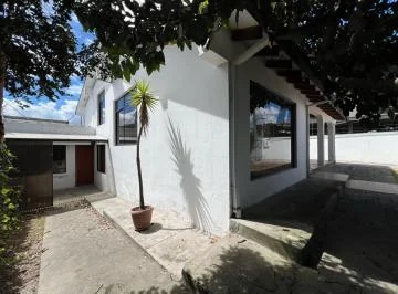 Primavera, Venta - Renta, Casa Ideal Para Oficinas, 350 m de Construccion — imagen 4