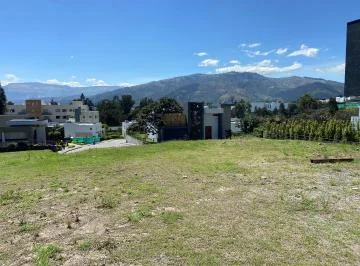 Sector Colegio Alemán Terreno Urbanización — imagen 3