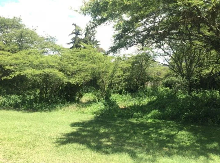 Terreno Dentro de Urbanizacion Arrayanes — imagen 1