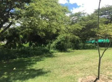 Terreno Dentro de Urbanizacion Arrayanes — imagen 5