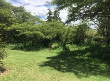 Terreno Dentro de Urbanizacion Arrayanes — imagen 4