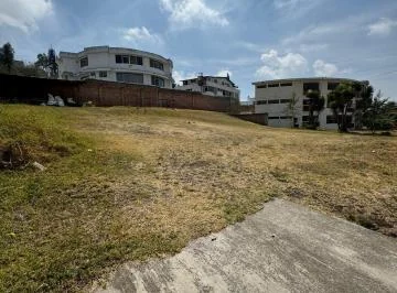 Hermoso Terreno de Arriendo (Santa Lucia) — imagen 3
