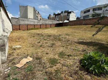 Hermoso Terreno de Arriendo (Santa Lucia) — imagen 2