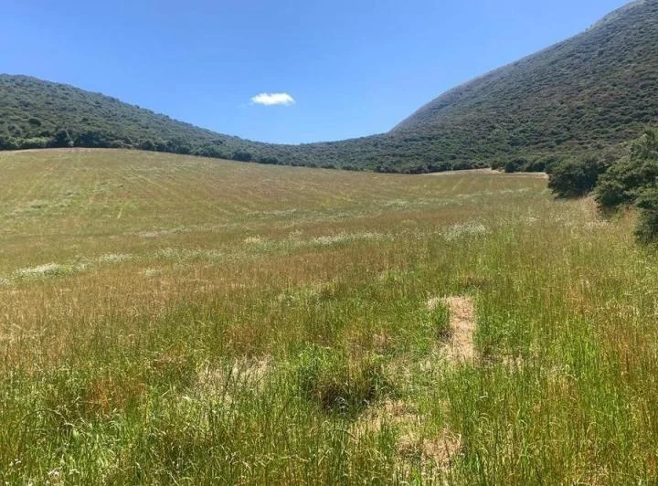 Venta 50000 m Terreno Sector Calacalí, No Industrial — imagen 1